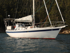 Koopmans 37
