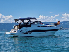 Drago 29