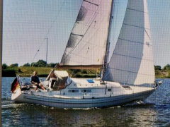 Carter 30