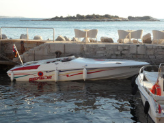 Scarab Wellcraft