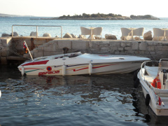 Scarab Wellcraft