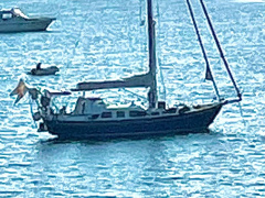 Ocean Cruiser OC35 (MFI)