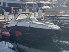 Sea Ray Sundancer 310