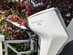 Mercury Avator 7.5e ELH