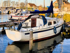 Fellowship 28
