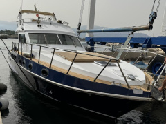 Piantoni 39 evolution fly