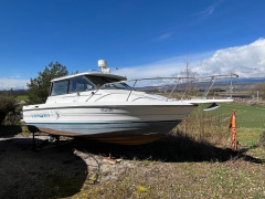 Bayliner Trophy 2159 Cuddy