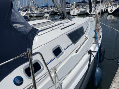 Hunter 31