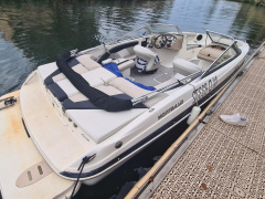 Glastron 225 gt