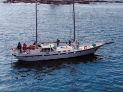 Helleman Holland Clipper 64