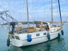 Anne Wever Trintella lV