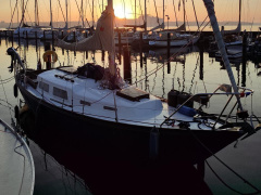 Baess Great Dane 28