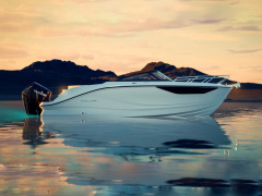 Bayliner C21