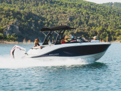 Bayliner V20