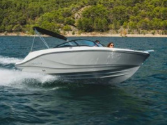 Bayliner V20i