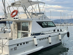 Della P & C DC 10