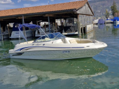 Sea Ray 190 SD