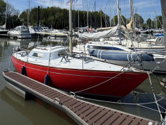 Mallard Ecume de Mer
