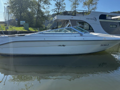 Sea Ray 200 OV Ltd
