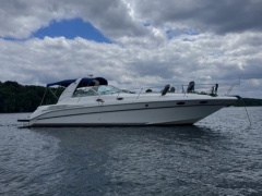 Sea Ray 400