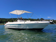 Gaia 220