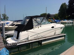 Rinker 250 Express