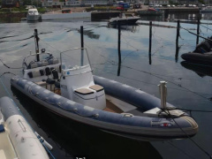 Ribeye RCL 890