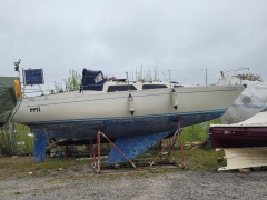 Aphrodite 30