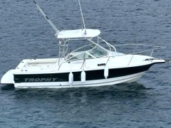 Bayliner Trophy pro 2152 WA