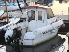 Quicksilver 500 TIMONIER