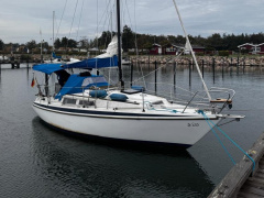 Neptun 26