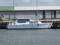Pedro 36