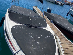 Sea Ray 185 sport