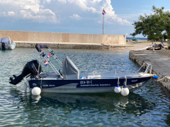 Linder Sportsman 455 max