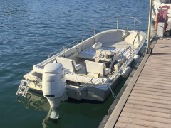 Boston Whaler Super Sport 15