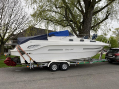 Drago 29