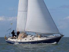 Koopmans 33