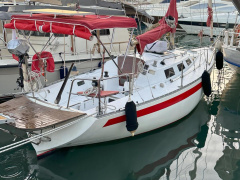 Thames Marine Mirage 29