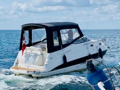Stingray 250CS