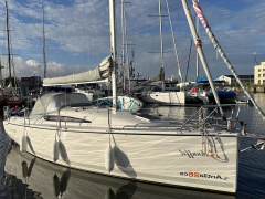 Antila 26cc
