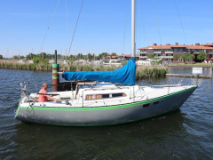 Pion 30