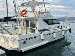Della P & C Dc10