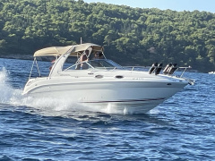 Sea Ray 260 DA Sundancer