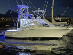 Luhrs 31 express