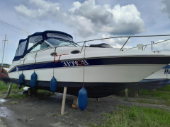 Sea Ray sun dancer