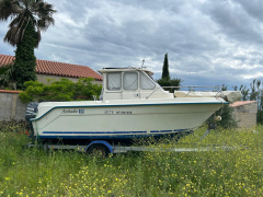 GUY MARINE ANTIOCHE