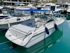 Sea Ray 230