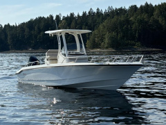 Boston Whaler 250 Dauntless