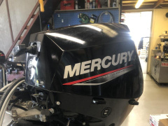 Mercury F20EPT EFI