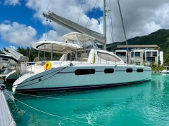 Leopard 46